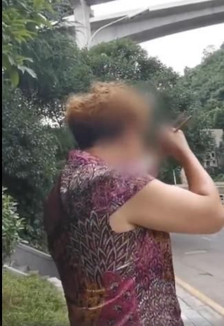 绿化|大妈放羊啃食绿化植被带心安理得:反正都是要割的