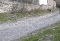 电话|深度揭秘：拨打酒店门缝中小卡片上的电话，美女会来敲门吗？