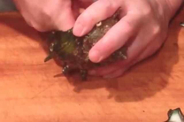 独特|日本人现场处理“海螺”,做法很独特,味道美味还很香