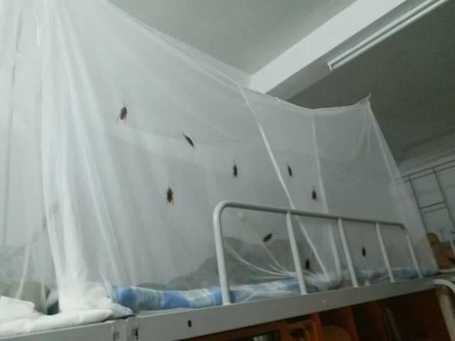  跳舞|搞笑囧图：跳舞的女孩子看似温柔，但她们和女汉子就差一步