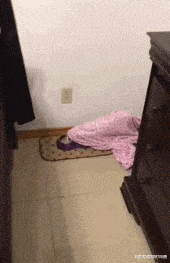 爸妈|搞笑GIF:爸妈才是真爱,我只是个小小的意外!