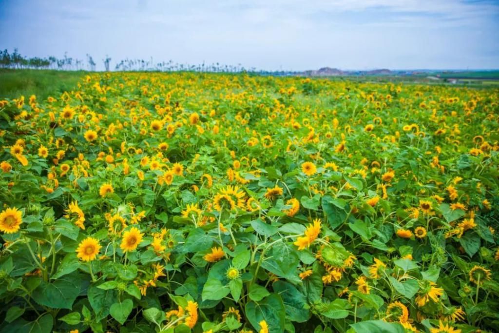  说走就走|旅行中的这些“奢侈品”，你具备了几件？