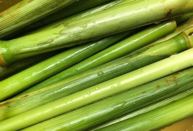 闺蜜|闺蜜寄来这“独特”的甘蔗,5块钱一斤,很多人见都没见过!