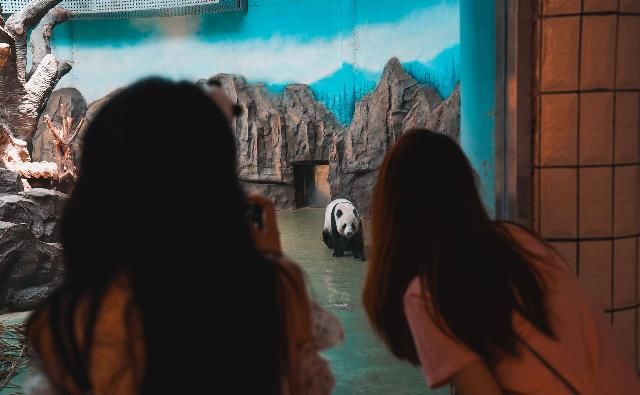  寻味|寻味成都 | 一座来了就不想走的城，一台开了就不想下的车