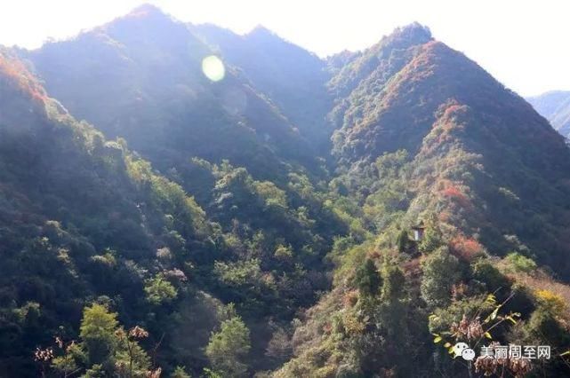  周至|周至有一种风景，叫青山红叶！