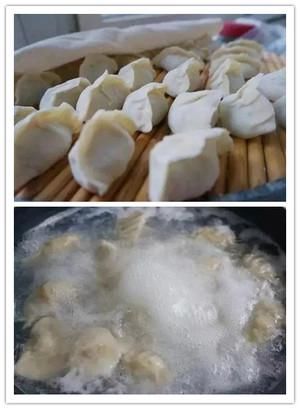 香菇|头伏饺子二伏面 饺子已出锅 防暑又解馋~营养又美味