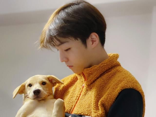  得知|任豪姜贞羽将组cp上恋爱综艺？得知拟邀嘉宾阵容后，等不及想看了