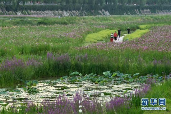 陕西|陕西延安：河道综合治理 建设绿色家园