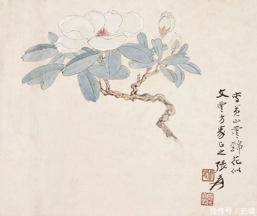 张大千花鸟画欣赏（100幅）