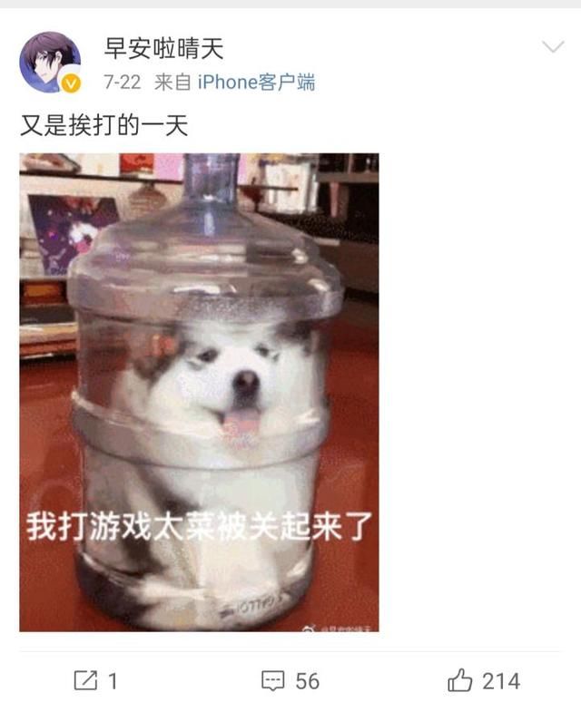  出局|KPL：海报暗示ROX再战A组？惨遭四连败出局，队员称每天都在挨打