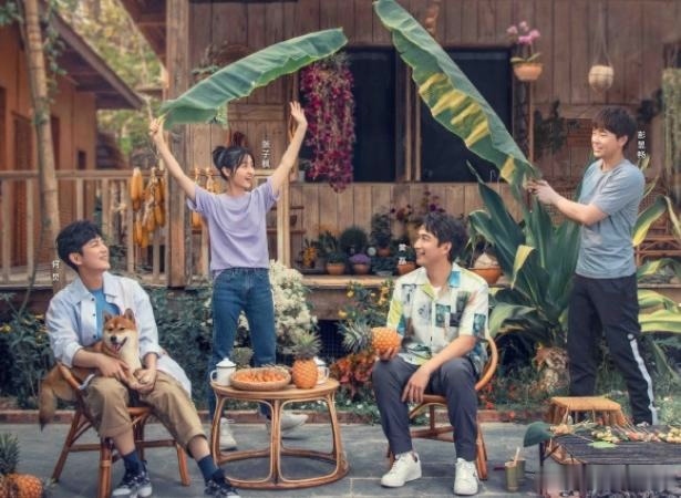 恶臭|情怀难敌资本恶臭,《向往的生活》第4季变味了