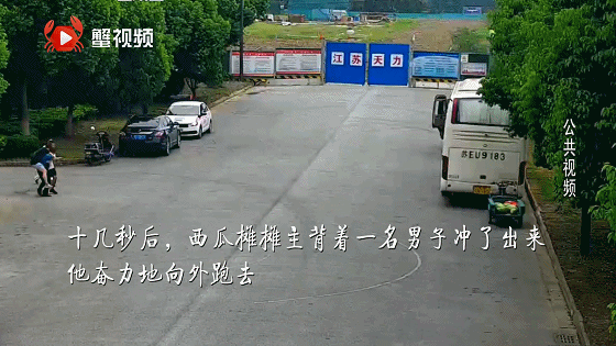  城管队员|大哥！你的西瓜好甜呐！