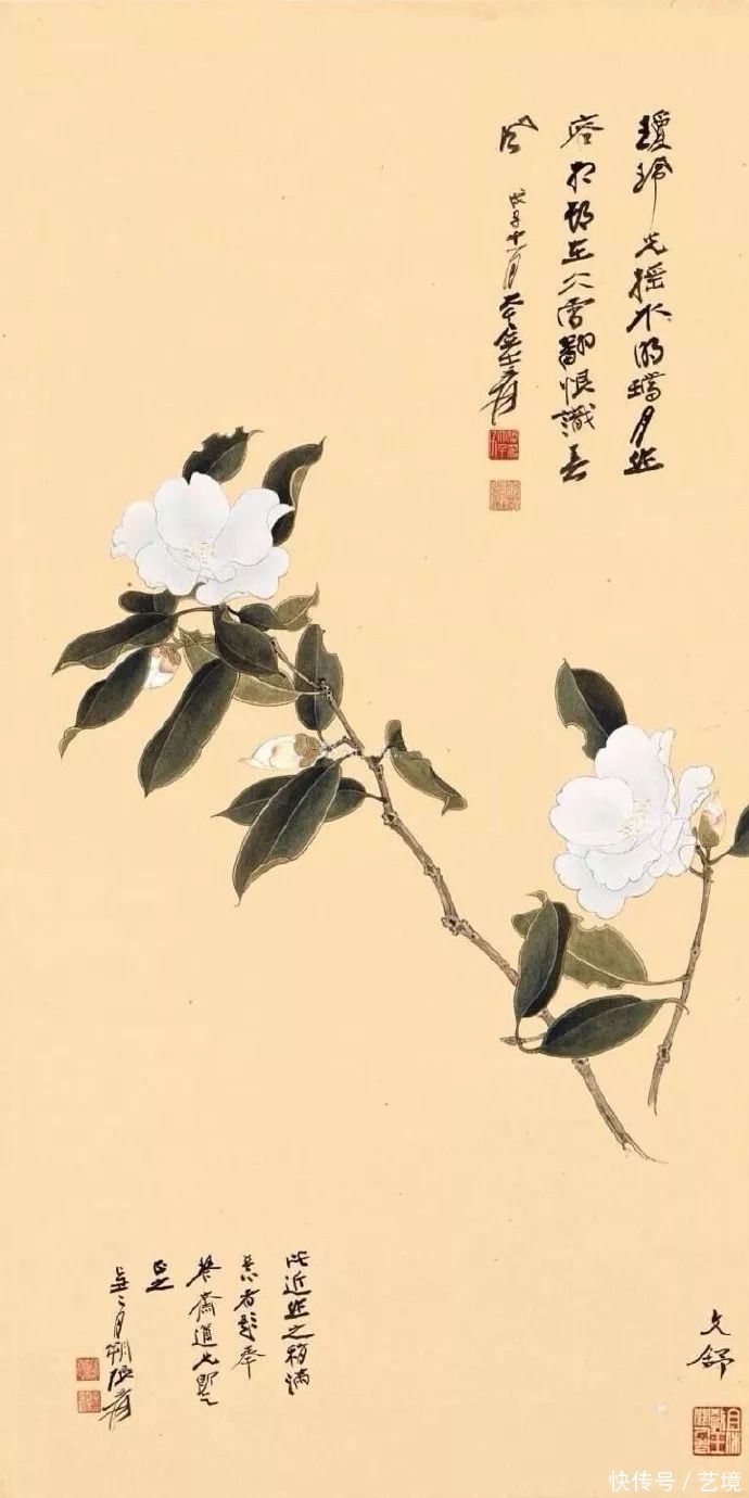 张大千花鸟画欣赏（100幅）