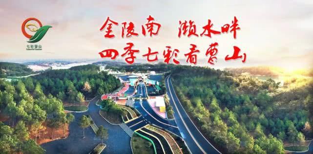 空中|“空中交警”来了！