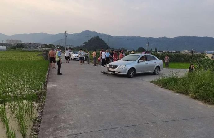  平阳|平阳车祸，汽车一头栽进玉米地