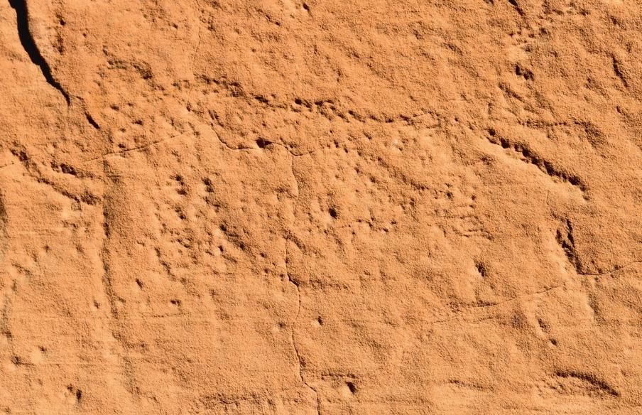 时期|艺术在原始人时期就已萌芽？498元的《史前艺术》告诉你