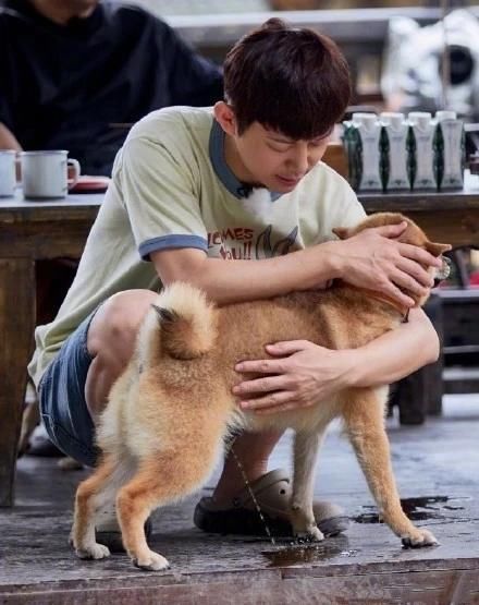  错位|明星的“神级”错位照，蔡徐坤被偷亲，肖战穿高跟鞋，看到何老师：解释下吧