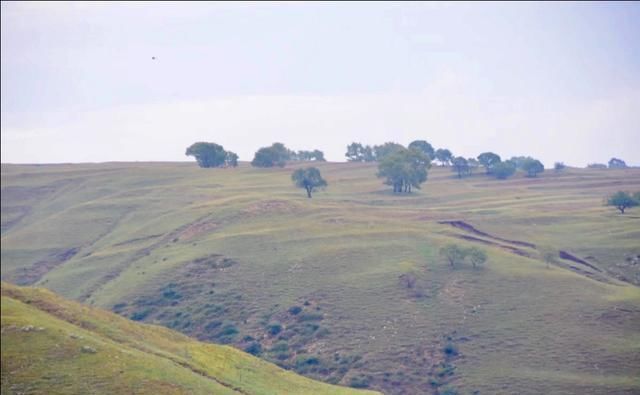 东线|草原天路（四）——东线
