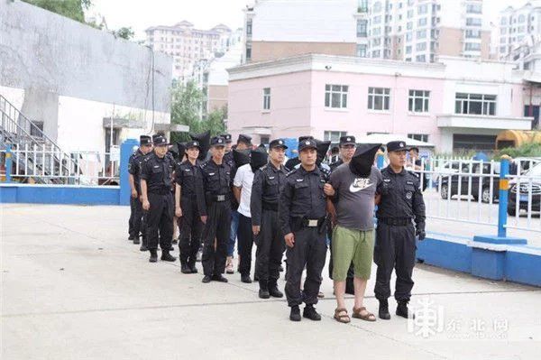 团伙|哈市警方打掉两个“垄断夜场出租车经营”的恶势力团伙