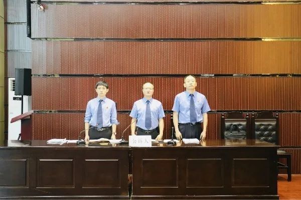 责任事故罪|扫黑除恶吴玉凤等10人寻衅滋事、破坏选举等案一审宣判了!