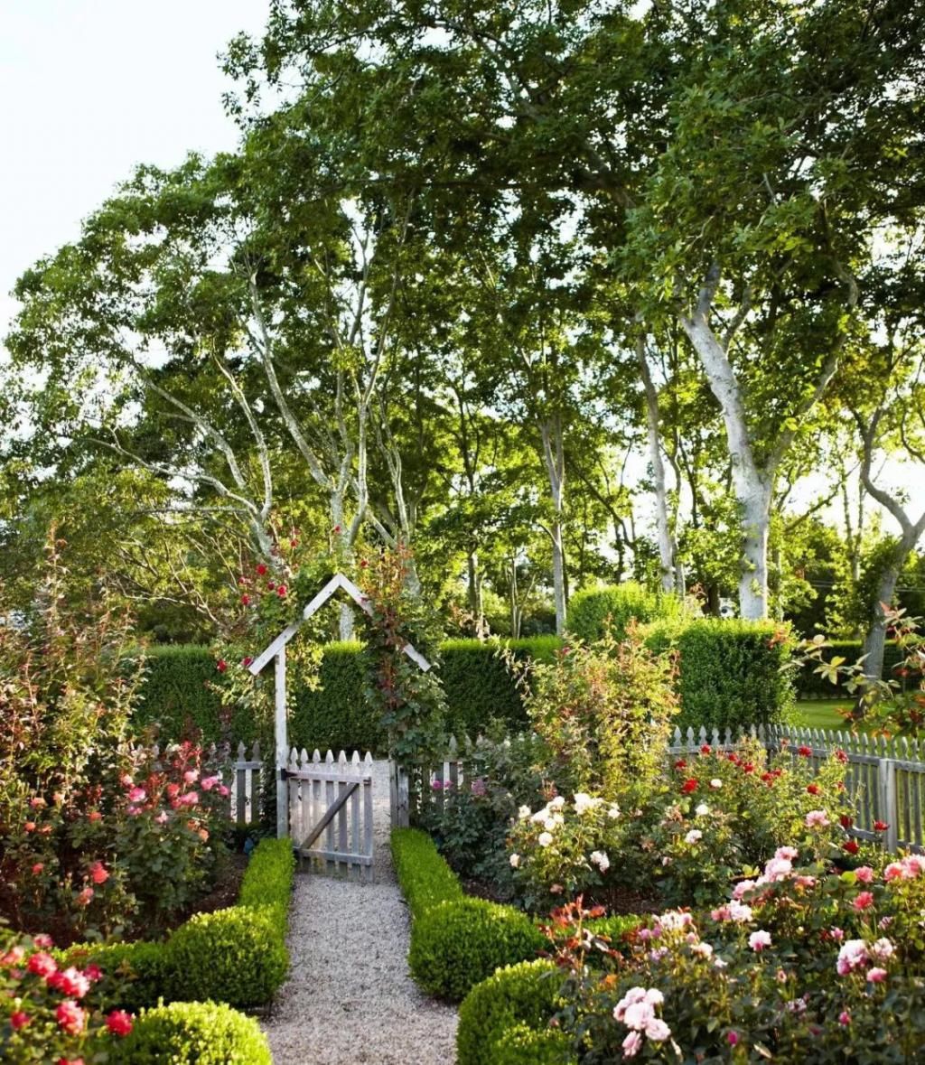  系列|花园系列 | 英式花园，自然浪漫系的优雅花园