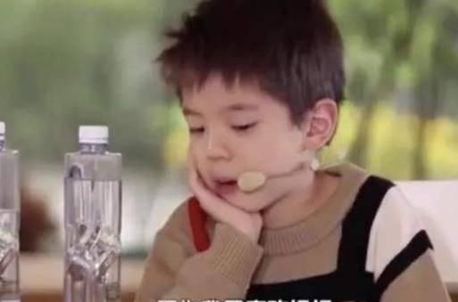  节目|霍思燕家的嗯哼上热搜了，情商高又暖心的孩子怎么养成的？