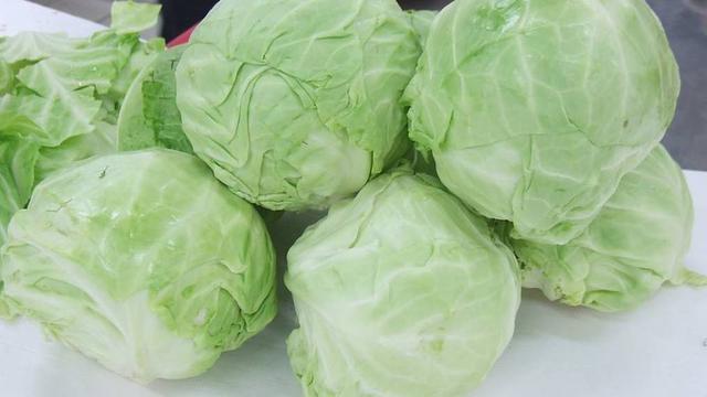 炒包菜|包菜下锅前需要焯水吗?大部分人都做错了,难怪味道不行