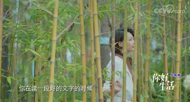  生活|这档被埋没的神仙综艺，值一个热搜！董卿插花比主持更美