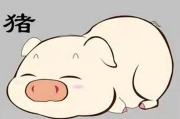  机会|别嫌弃自己老公穷，这4大生肖男，如今看似很平庸，中年必成大器