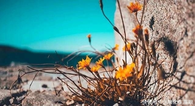 懂得|在你的有生之年,和认识你的人在一起。不管是朋友还是情人