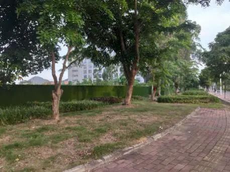 火炬|【创文进行时】这些不文明行为，让火炬区很“受伤”