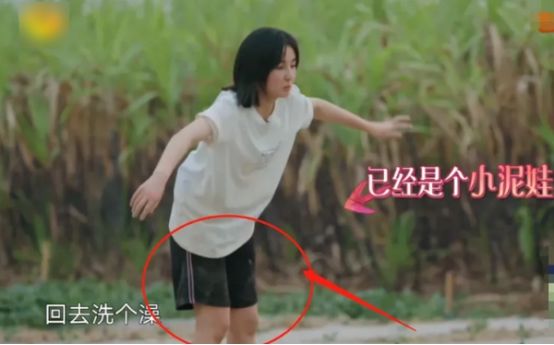  张子枫|《向往4》被怀疑作秀？镜头扫过张子枫，是不是真干活一目了然