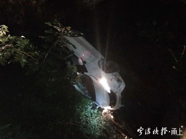  车子|不少宁波人想方设法深夜进山，只为这道网红小吃！有人为此车子侧翻掉入深坑！民警：太危险了…