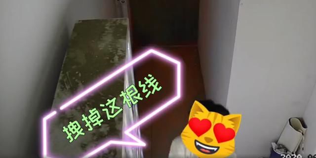 用品|四个小伙凌晨狂砸成人用品售卖机,盗走物品兴奋离开,最后均被捉拿归案