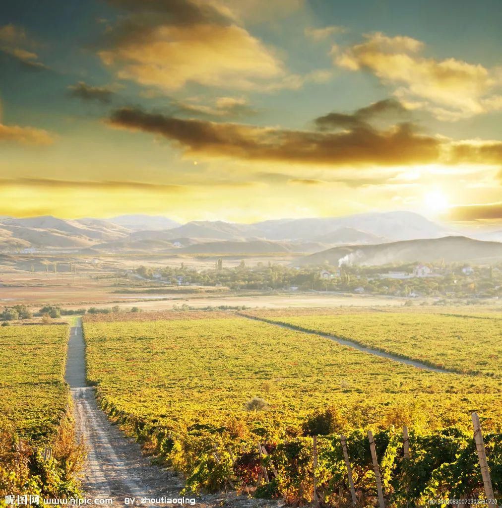 生活|《读书是一辈子的事》它帮我们认识自己,认识世界,打理生活