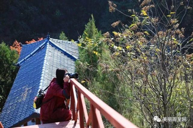  周至|周至有一种风景，叫青山红叶！