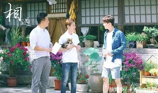 生活|勾心斗角!《向往的生活》为何越来越无聊?答案全程写在嘉宾脸上