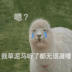  就位|郭敬明应该去参加奇葩说，而不是《演员请就位》