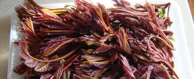  脂肪|女性不想人老珠黄，推荐吃三种食物，消食开胃，好处多多