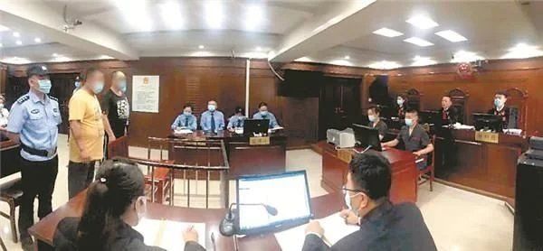 锡嘴雀|斑鸫、蓝鸽鸲、锡嘴雀……两人用粘网捕鸟37只被判刑