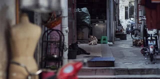 特性|老了不被孝顺的父母，多半有3个特性，还真别抱怨孩子