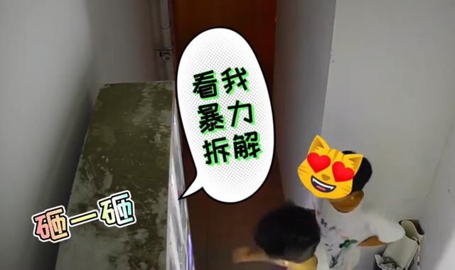 用品|四个小伙凌晨狂砸成人用品售卖机,盗走物品兴奋离开,最后均被捉拿归案