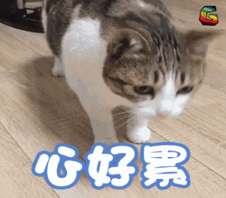 开学|开学季：开学第一课，交通安全不忘记！