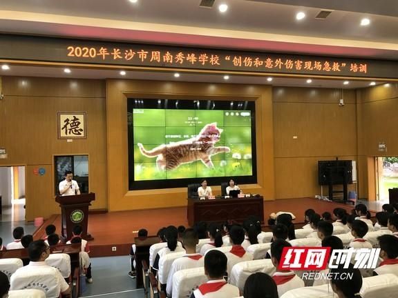 周南秀峰学|省中医院开展急救培训 护航学生暑期安全