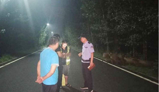 被盗案|济阳崔寨派出所破获一起山羊离奇“被盗案”