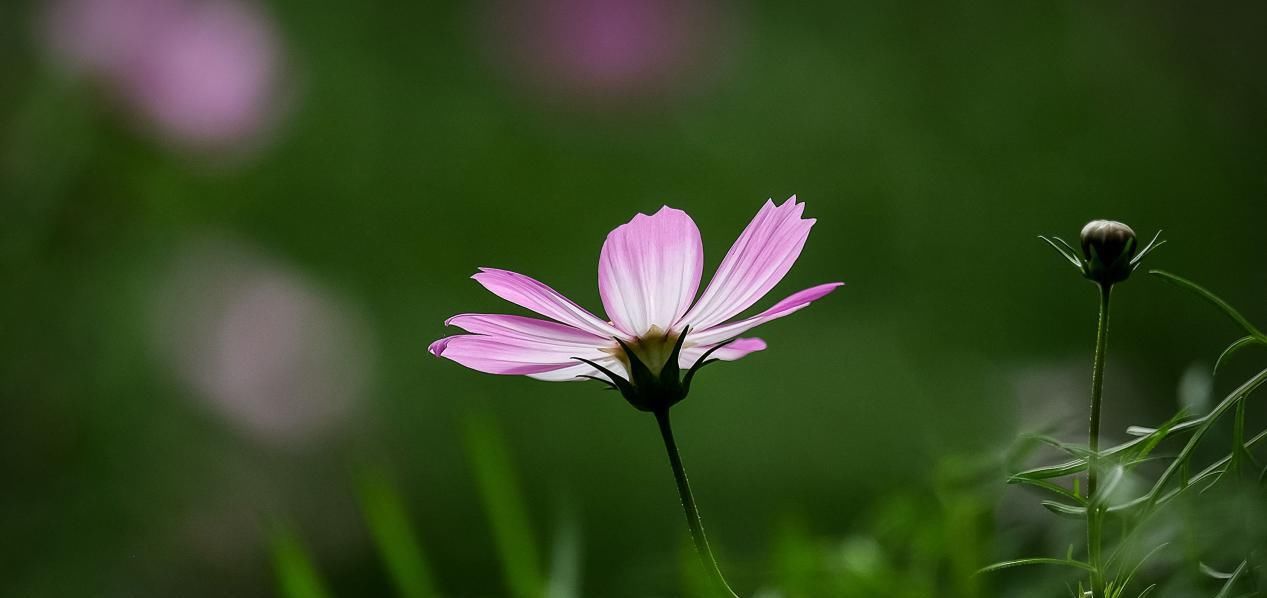  射手座|这几星座的女人，婚姻美满幸福，无论长的多不好，嫁的男人都不差