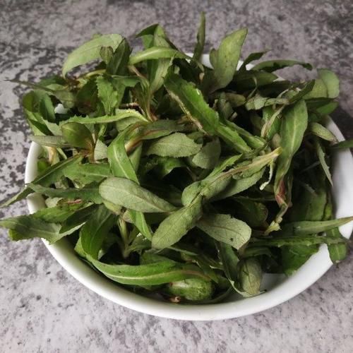  脾胃|它还有一茬，不吃就成“杂草”了，是菜又是药，补钙质，家人吃脾胃好