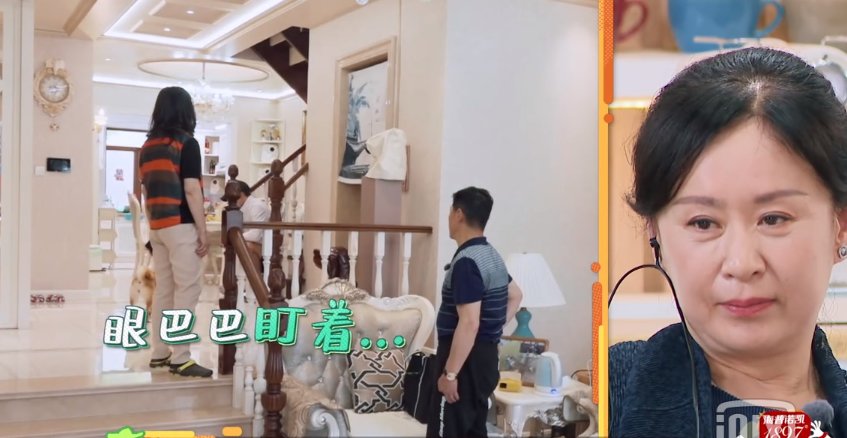  张继科|张继科, 请退出《做家务的男人》!