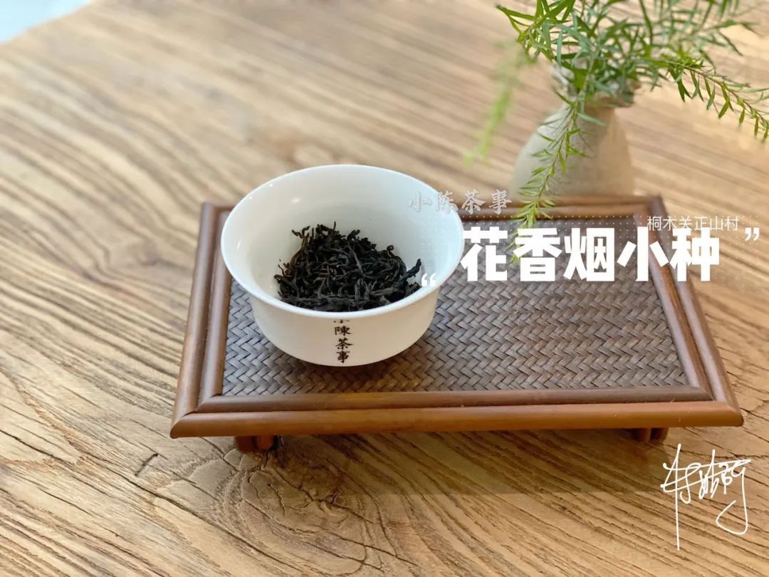 传统|从老丛红茶、烟小种到花香小种，这款红茶代表了传统小种的定义