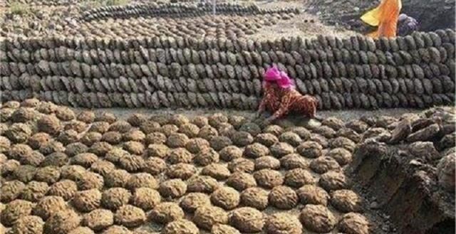  发电|印度人表示，公交车领先中国20年，坐一次一毛钱，用牛粪发电